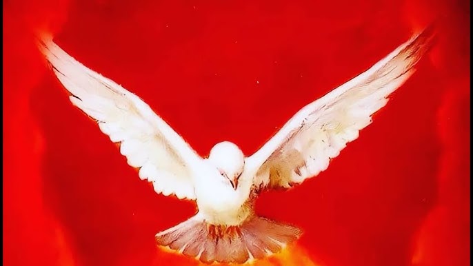 EMBER SATURDAY OF PENTECOST - Pillars of Faith